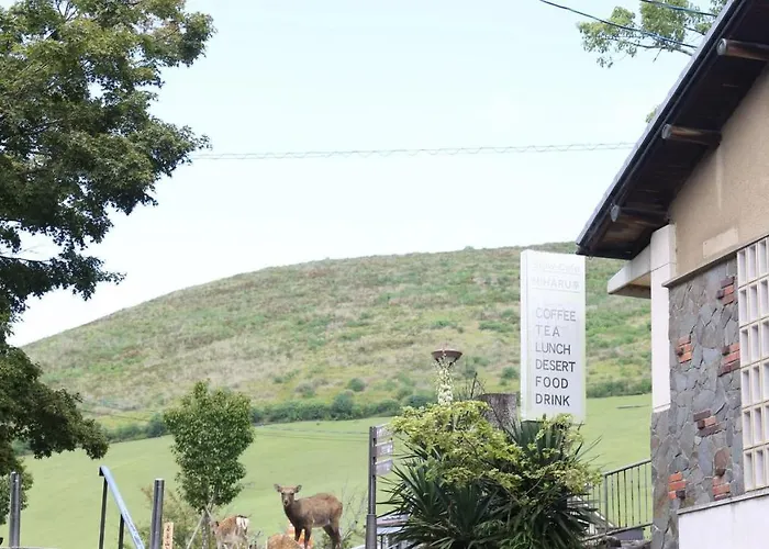 Mountain Home Lodge In Deer Park