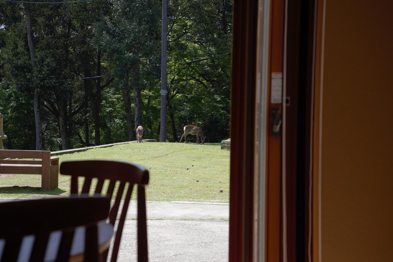 Lodge Mountain In Deer Park Nara