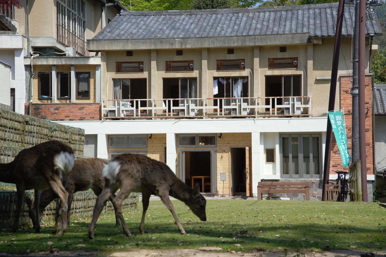 Mountain In Deer Park Nara