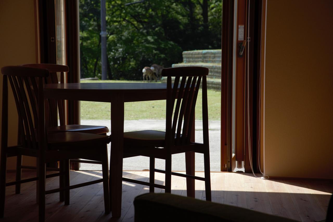 Lodge Mountain In Deer Park *